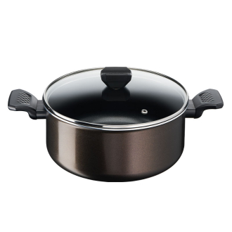 Tefal Easy Cook Stewpot 24 CM Titanium Non Stock Cooking Pot 4.7 L with Lid Suitable for All Heat Sources Except Induction B5544602