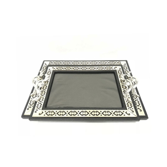 Nadstar Tray 201306141