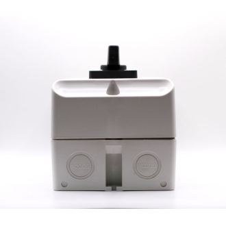 Tronic Manual Changeover Switch 100A