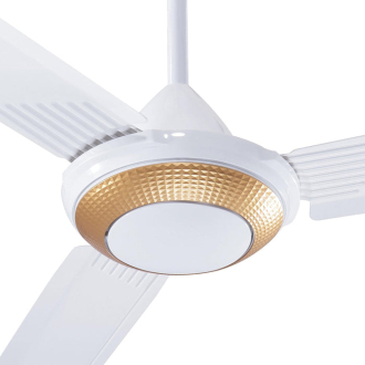 Tronic Ceiling Fan Golden Ring 56 Inch With Regulator