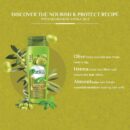 Vatika Shampoo Nourish and Protect, Rejuvenate Hair, Strengthening & Moisturizing Hair Cleanser for Curly Hair, Damaged Hair, All Hair Types 400ml with FREE CONDITIONER 200ml