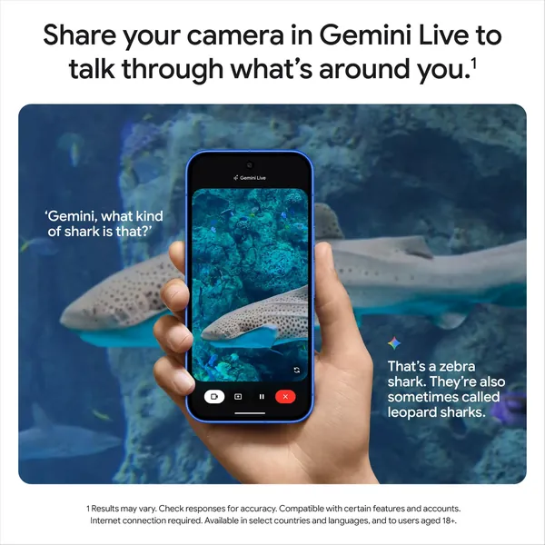 Google Pixel 10 5G 256Gb - Frost 5 Google Pixel 10 5G 256Gb - Frost