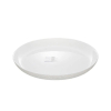 Luminarc Diwali Shell Structure Dinner Plate 25cm Q1658 (Pack of 6Pcs)