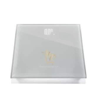 Hisense Personal Weight Scale Led Display | HOT180LBW
