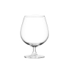 Ocean Cognac Glass 6pcs Madison Cognac 650ml Fine Rim Stemware 1015N22E