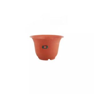Cello Planter 3 Multi-Color 233 x 150mm (Pack of 12)