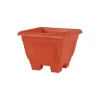 Cello Square Planter 15 Multi-Color 275 x 275 x 215mm (Pack of 3)
